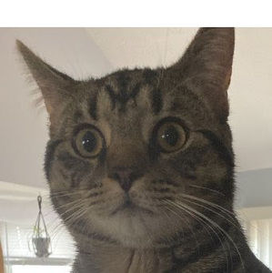 Meet your Posher, Nadia